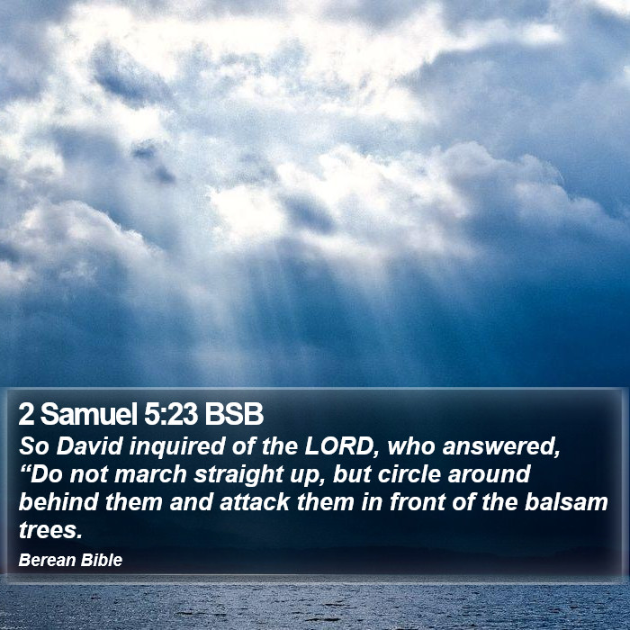 2 Samuel 5:23 BSB Bible Study