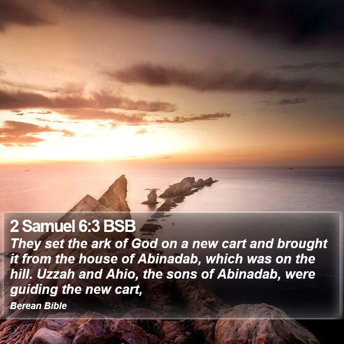 2 Samuel 6:3 BSB Bible Study