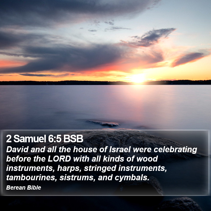 2 Samuel 6:5 BSB Bible Study