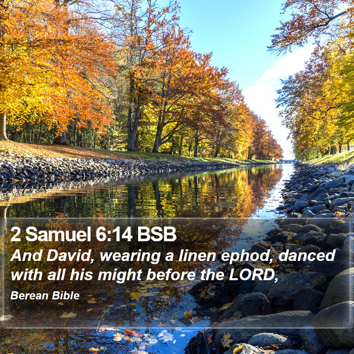 2 Samuel 6:14 BSB Bible Study