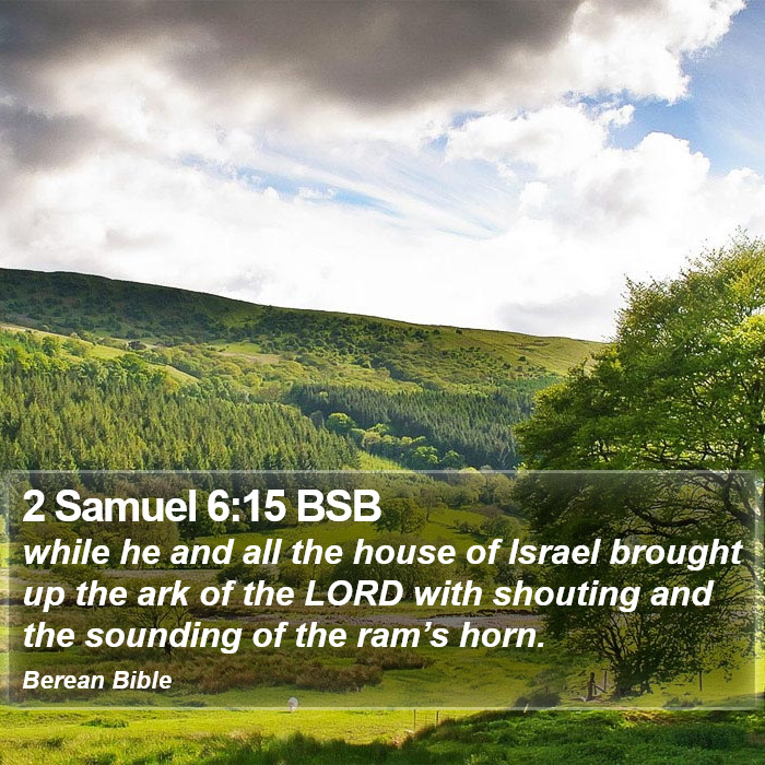 2 Samuel 6:15 BSB Bible Study