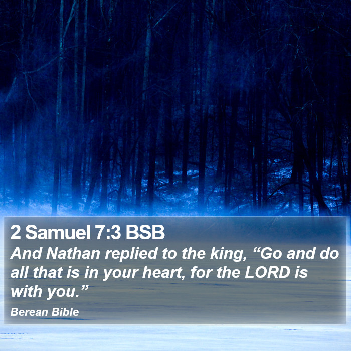 2 Samuel 7:3 BSB Bible Study