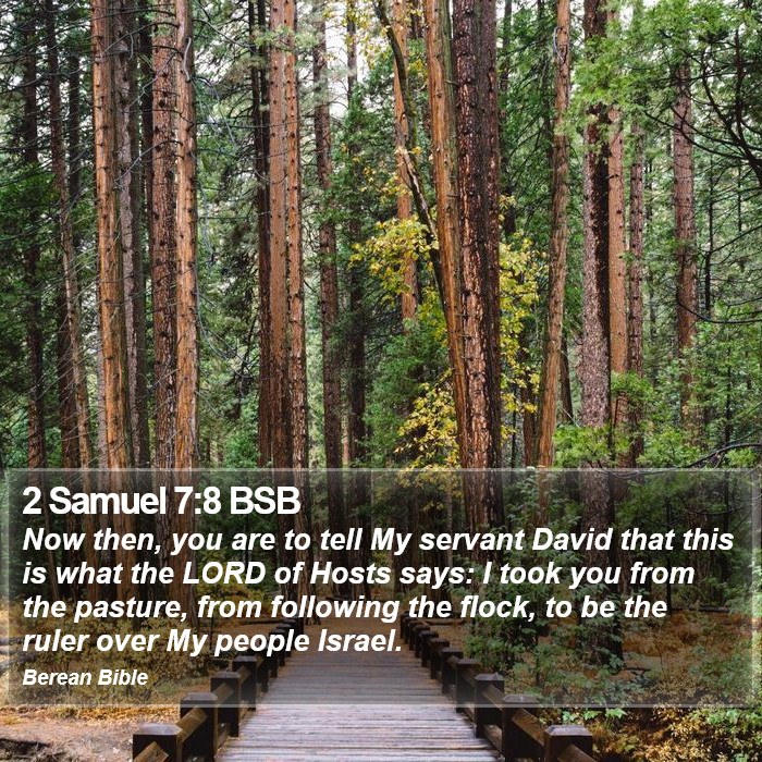 2 Samuel 7:8 BSB Bible Study