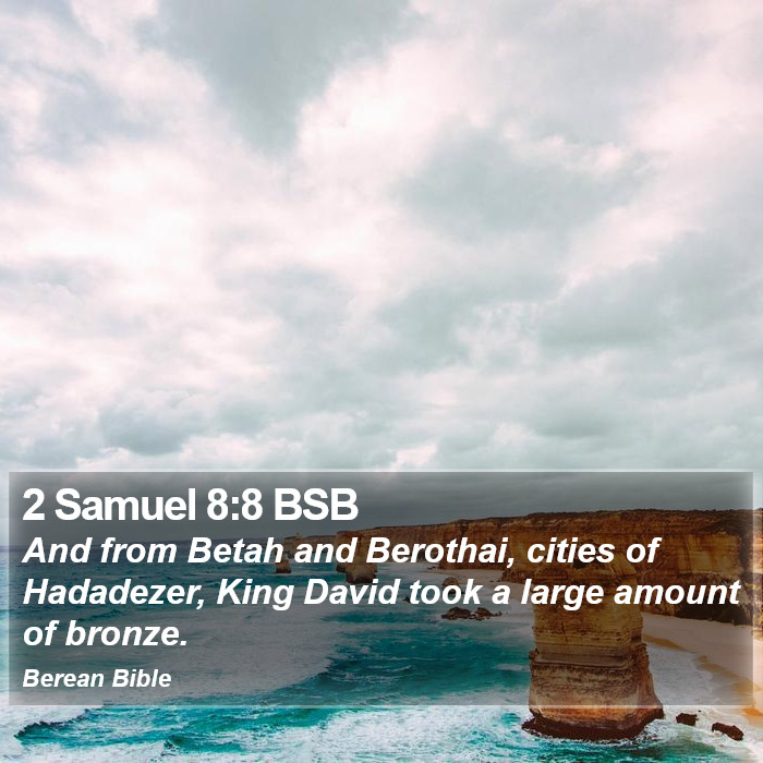 2 Samuel 8:8 BSB Bible Study