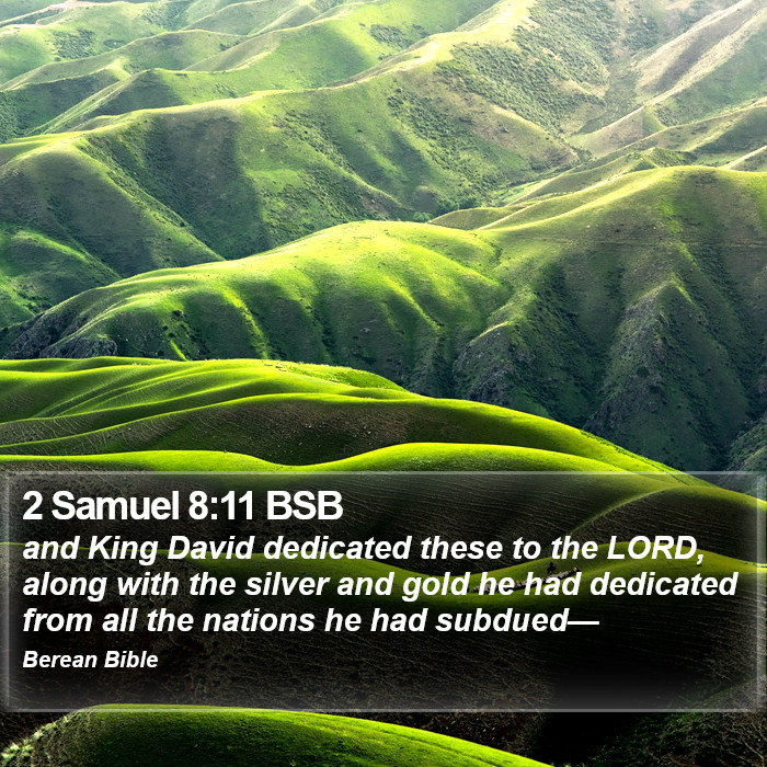 2 Samuel 8:11 BSB Bible Study