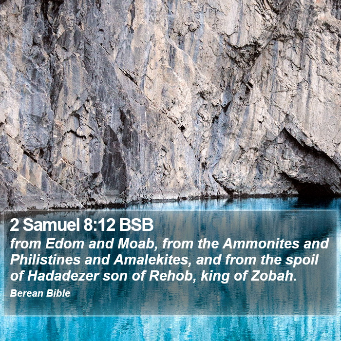 2 Samuel 8:12 BSB Bible Study