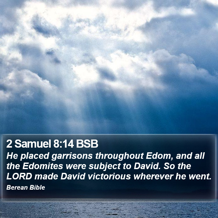 2 Samuel 8:14 BSB Bible Study