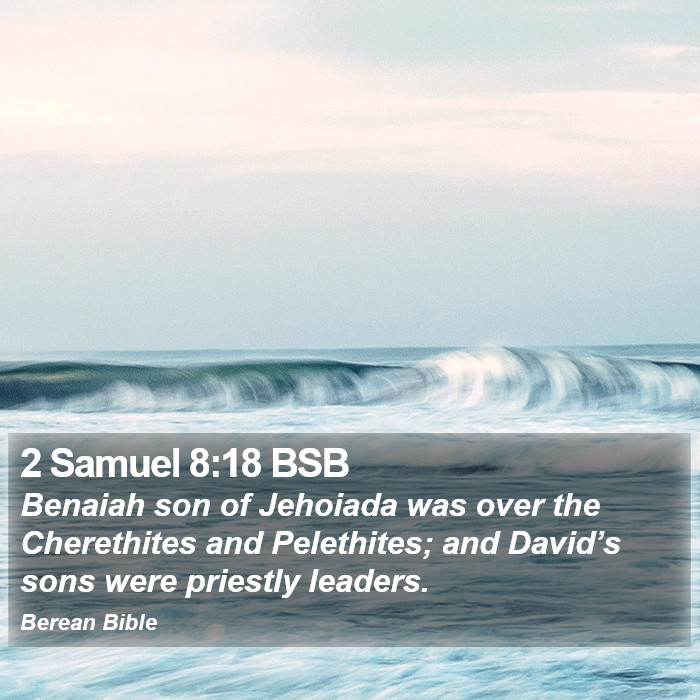 2 Samuel 8:18 BSB Bible Study