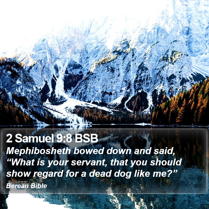 2 Samuel 9:8 BSB Bible Study