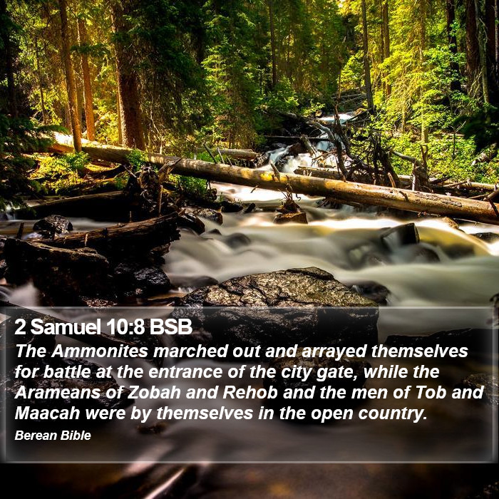 2 Samuel 10:8 BSB Bible Study