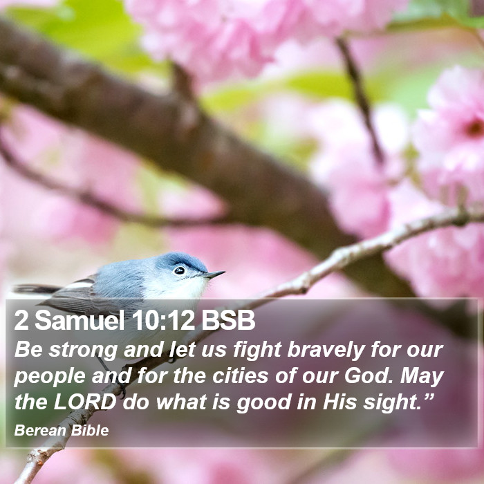 2 Samuel 10:12 BSB Bible Study