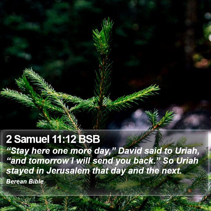 2 Samuel 11:12 BSB Bible Study