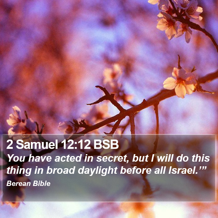 2 Samuel 12:12 BSB Bible Study