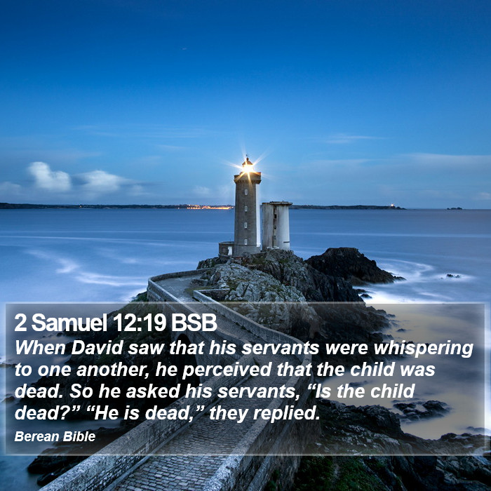 2 Samuel 12:19 BSB Bible Study