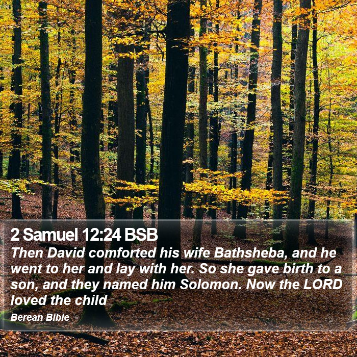 2 Samuel 12:24 BSB Bible Study