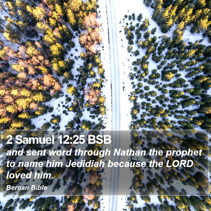 2 Samuel 12:25 BSB Bible Study