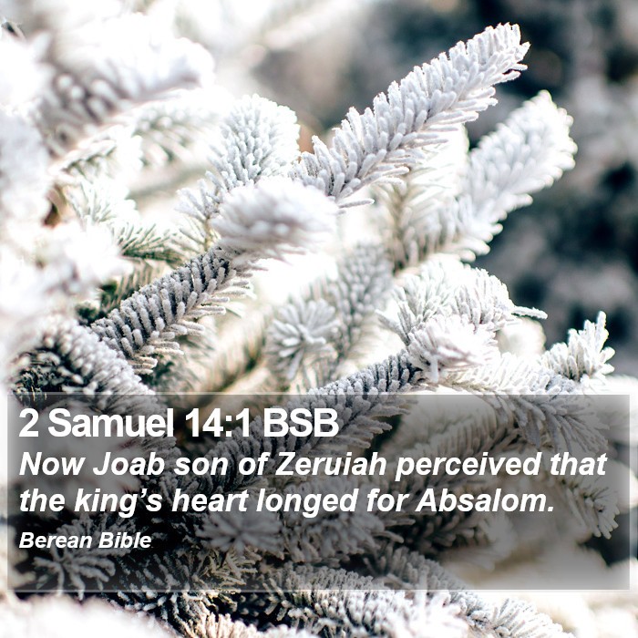 2 Samuel 14:1 BSB Bible Study