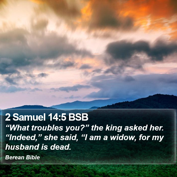 2 Samuel 14:5 BSB Bible Study