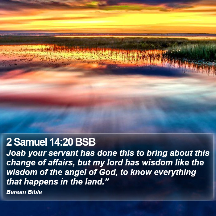 2 Samuel 14:20 BSB Bible Study