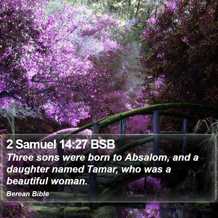 2 Samuel 14:27 BSB Bible Study