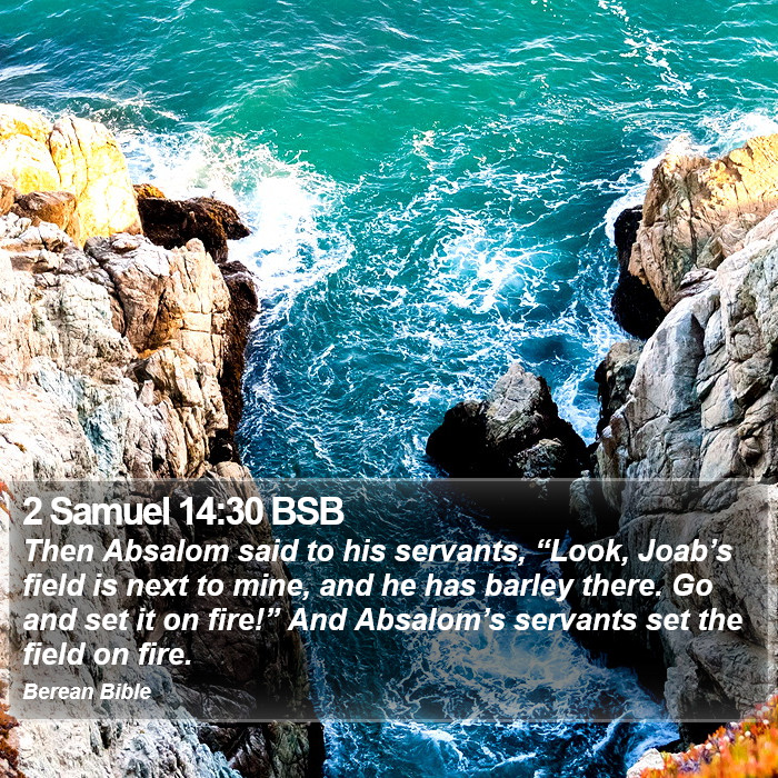 2 Samuel 14:30 BSB Bible Study