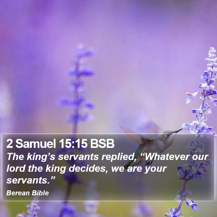 2 Samuel 15:15 BSB Bible Study