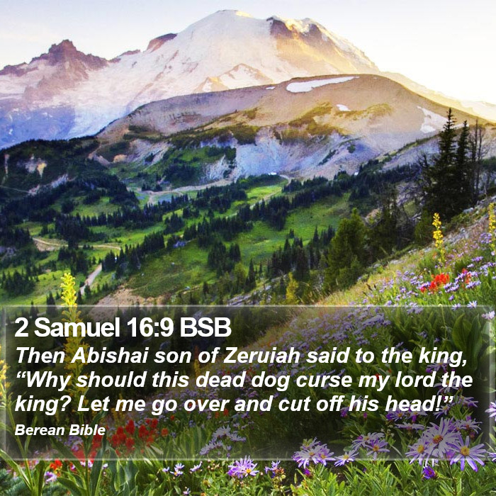 2 Samuel 16:9 BSB Bible Study