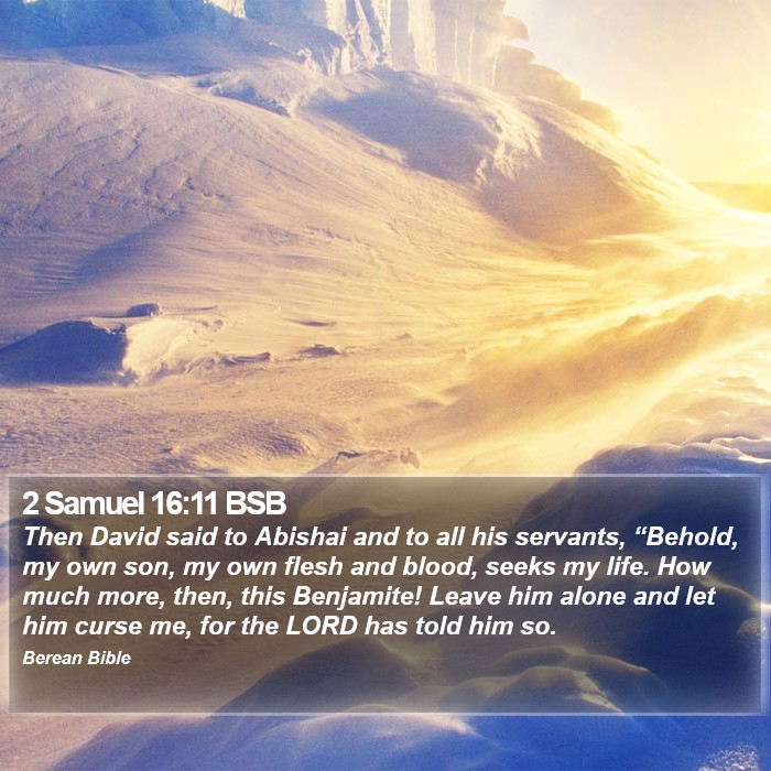 2 Samuel 16:11 BSB Bible Study