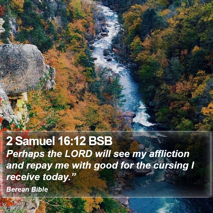 2 Samuel 16:12 BSB Bible Study