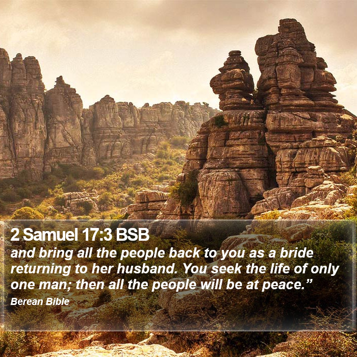 2 Samuel 17:3 BSB Bible Study