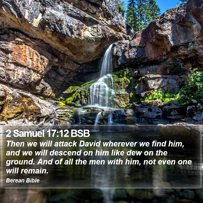 2 Samuel 17:12 BSB Bible Study