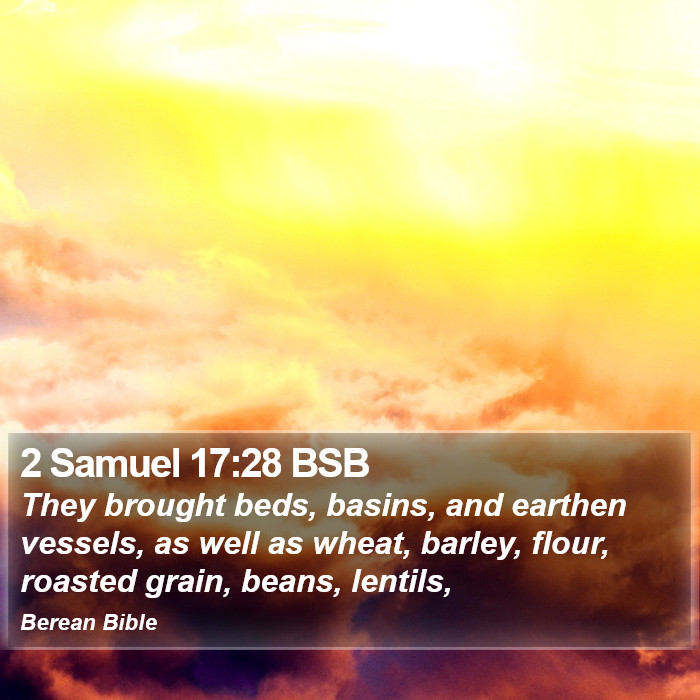 2 Samuel 17:28 BSB Bible Study