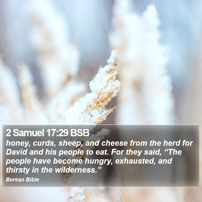 2 Samuel 17:29 BSB Bible Study