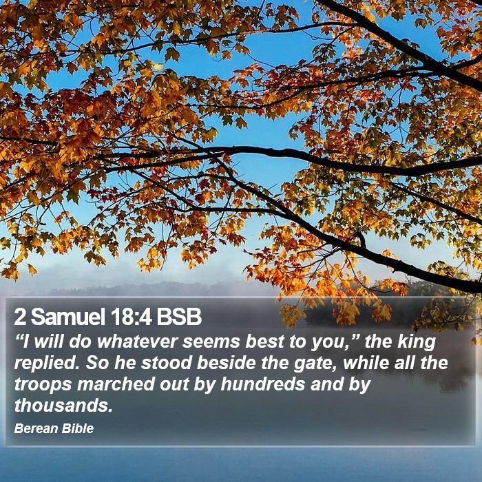 2 Samuel 18:4 BSB Bible Study