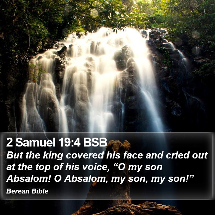 2 Samuel 19:4 BSB Bible Study