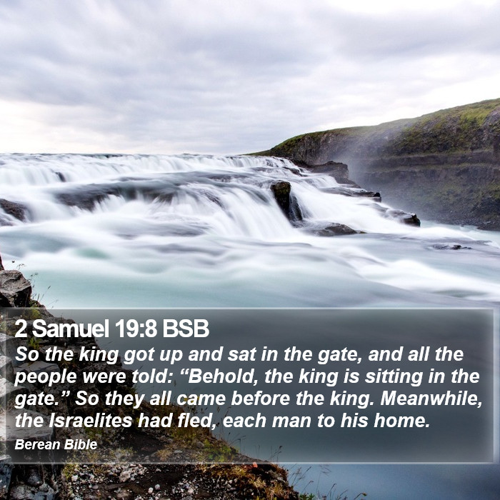 2 Samuel 19:8 BSB Bible Study