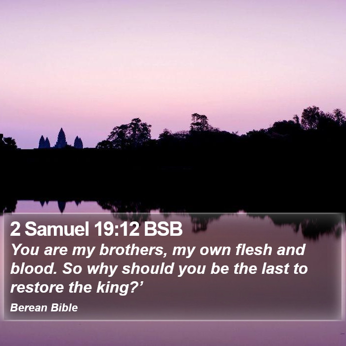 2 Samuel 19:12 BSB Bible Study