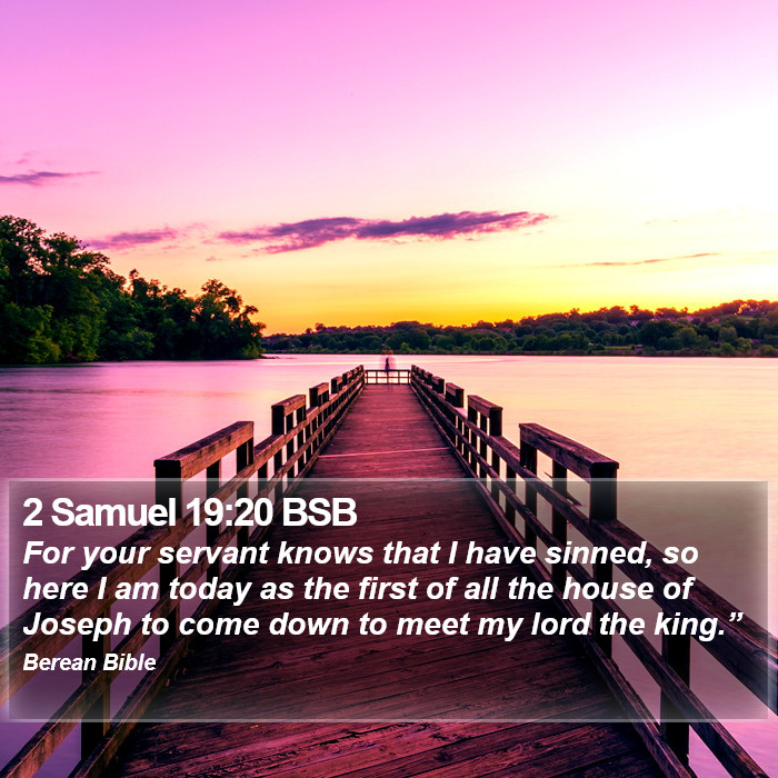 2 Samuel 19:20 BSB Bible Study