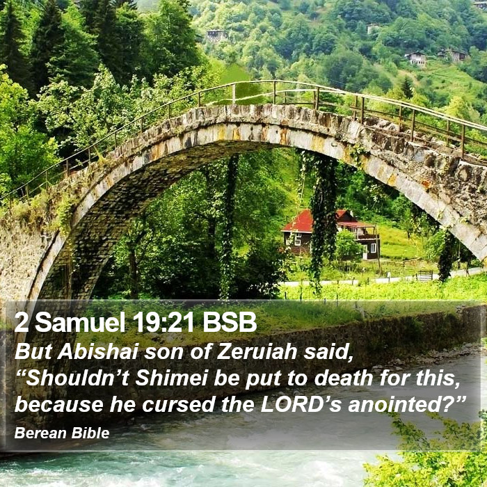 2 Samuel 19:21 BSB Bible Study