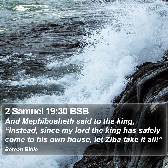 2 Samuel 19:30 BSB Bible Study