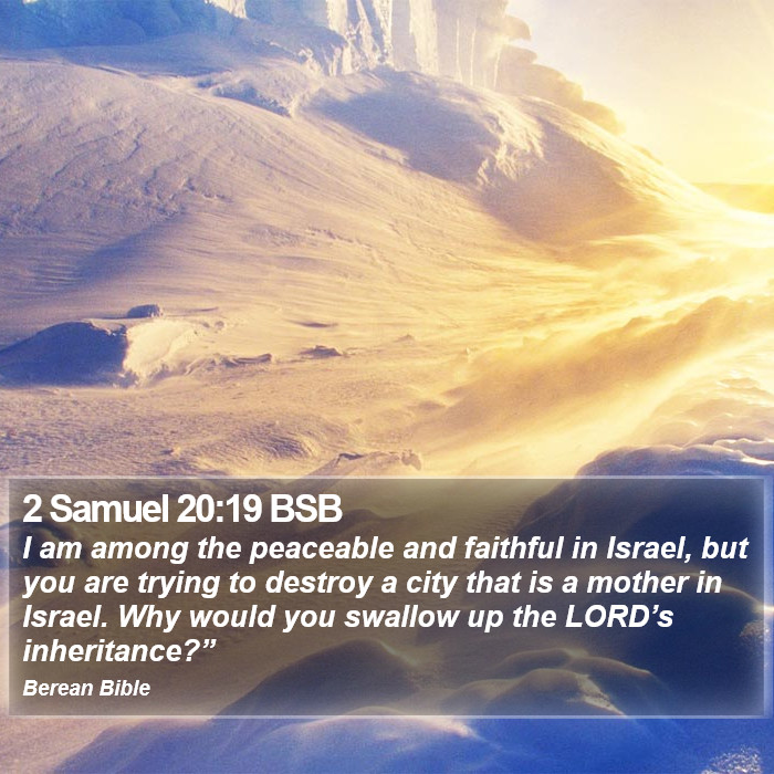 2 Samuel 20:19 BSB Bible Study