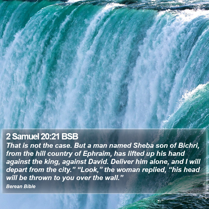 2 Samuel 20:21 BSB Bible Study