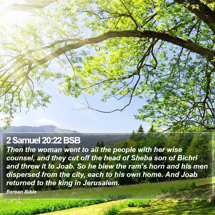 2 Samuel 20:22 BSB Bible Study