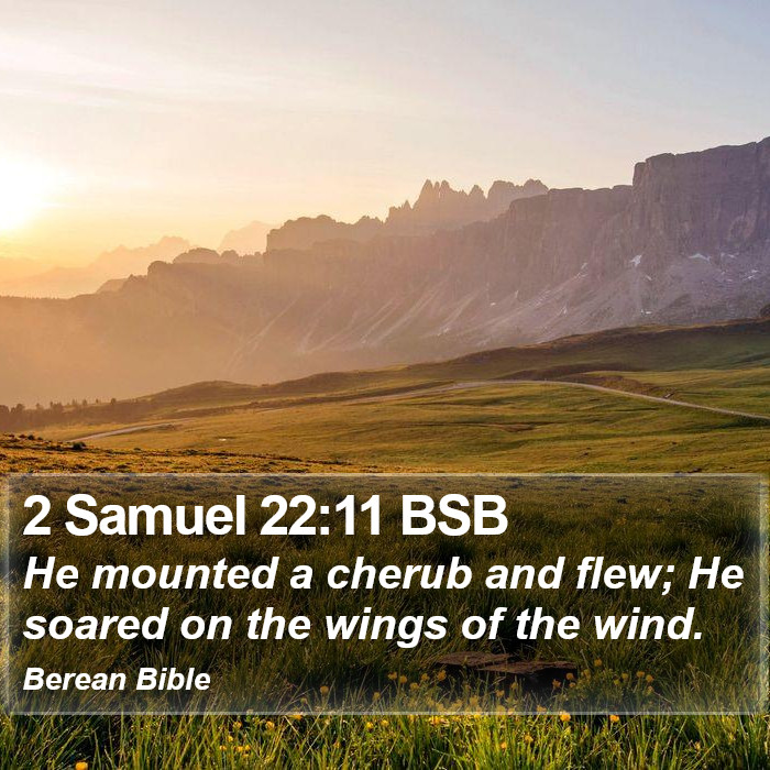 2 Samuel 22:11 BSB Bible Study