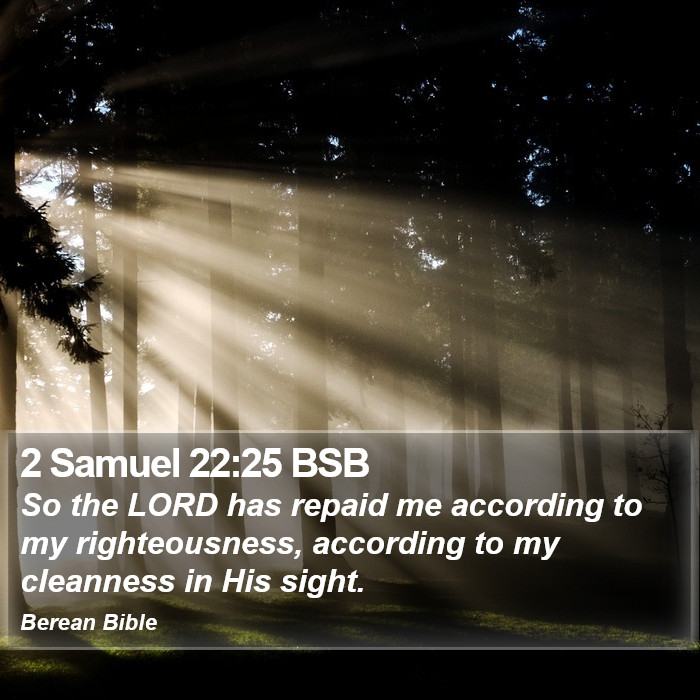 2 Samuel 22:25 BSB Bible Study