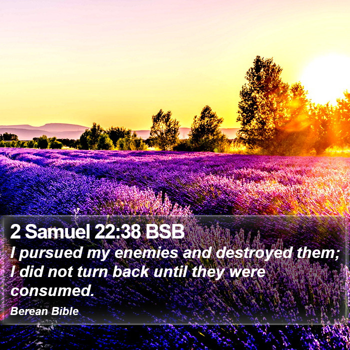 2 Samuel 22:38 BSB Bible Study