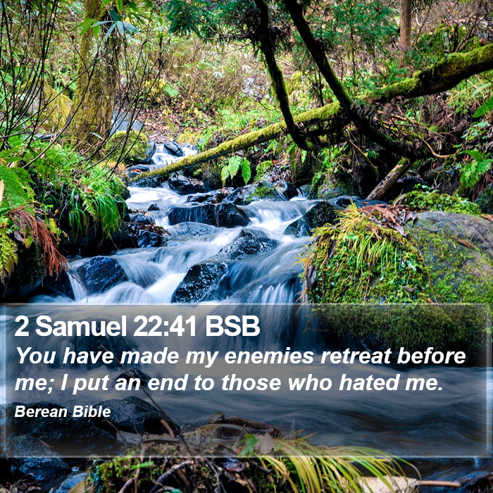 2 Samuel 22:41 BSB Bible Study