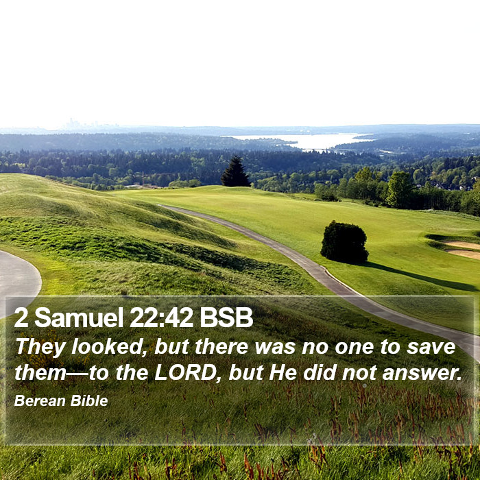 2 Samuel 22:42 BSB Bible Study