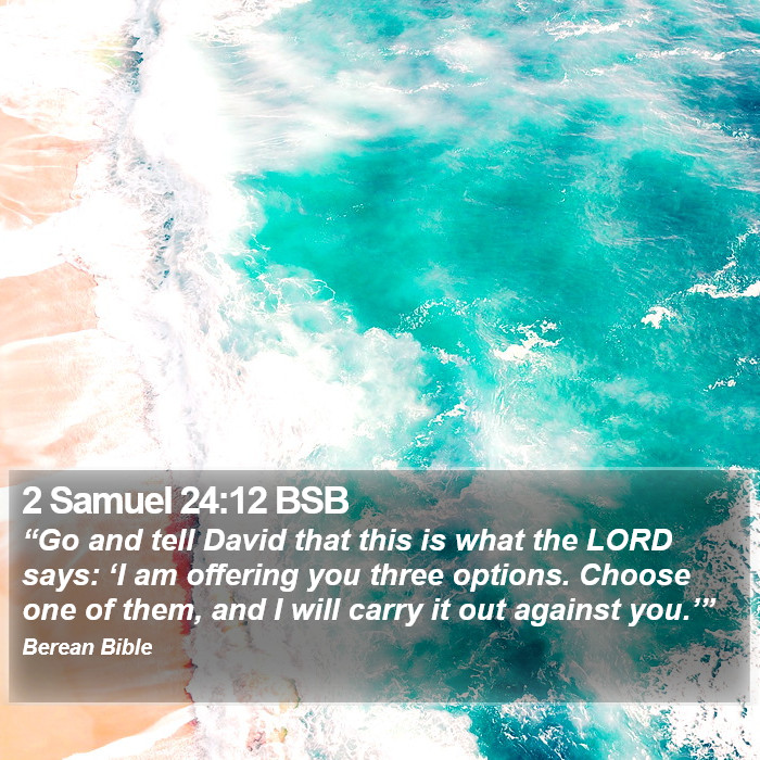 2 Samuel 24:12 BSB Bible Study