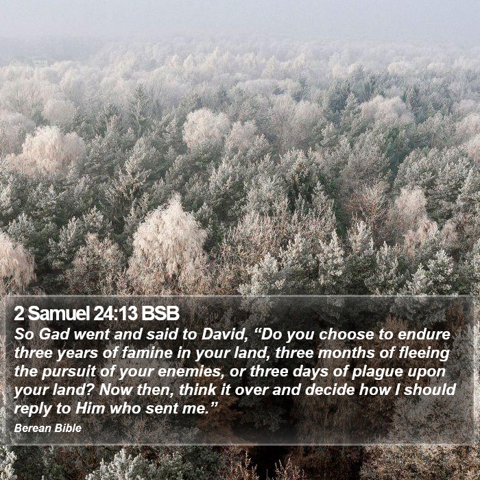 2 Samuel 24:13 BSB Bible Study